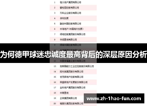 为何德甲球迷忠诚度最高背后的深层原因分析