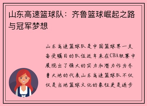 山东高速篮球队：齐鲁篮球崛起之路与冠军梦想
